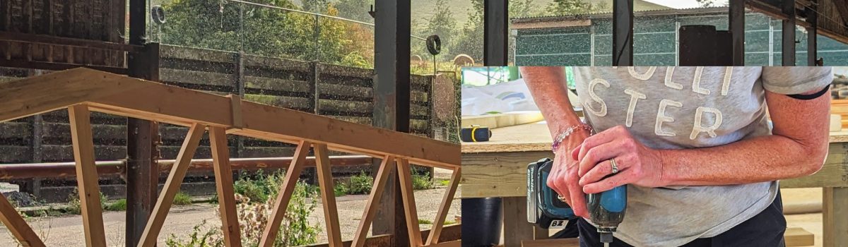 Learn to Construct a Timber Frame with Jack Cardno