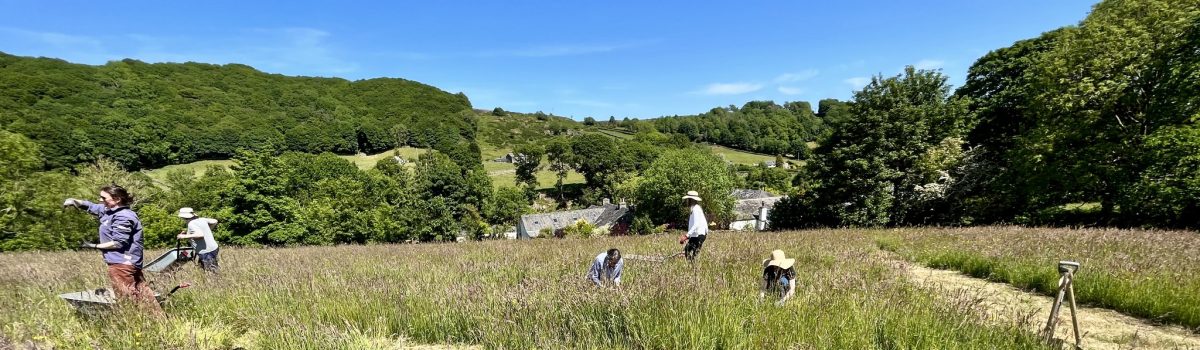 National Meadows Day: Diana’s Orchard Grand Opening