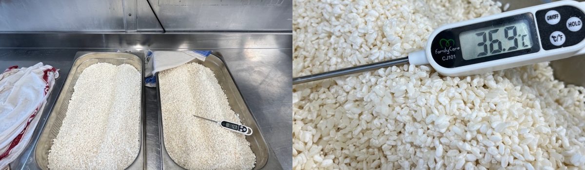 Koji & Beyond: Learn Japanese Fermentation