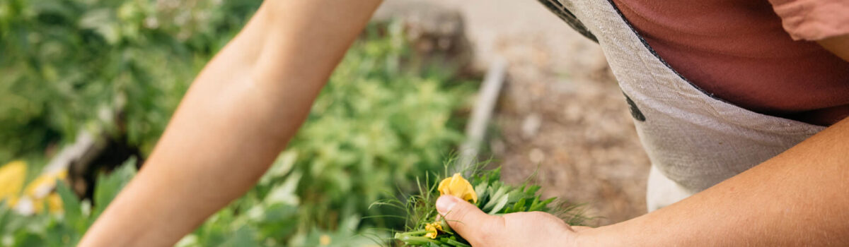 Recruiting Now: Seasonal Live-in Kitchen Lead & Venue Support