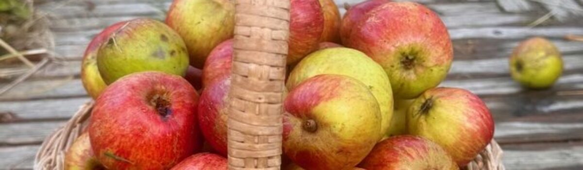 DIY Apple Pressing